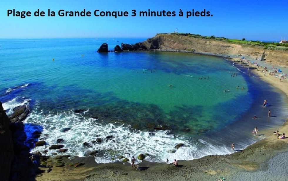 Cap D'Agde 300M Plage Du Mole,Vue Port,Parking,Lave Linge,Piscine Lägenhet Exteriör bild