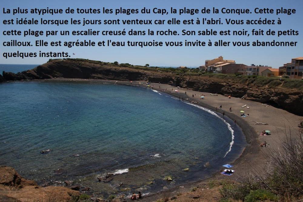 Cap D'Agde 300M Plage Du Mole,Vue Port,Parking,Lave Linge,Piscine Lägenhet Exteriör bild